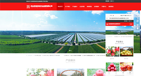 企業(yè)網(wǎng)站、程序軟件App解決方案